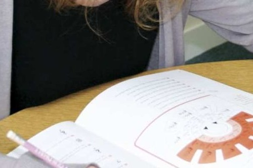 Insegnante che pianifica le lezioni con i propri studenti