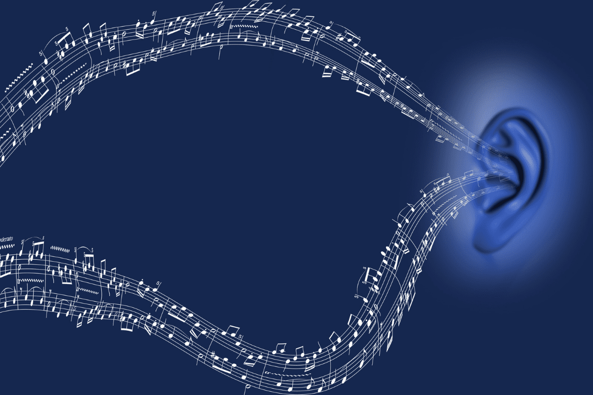 Incontra Trinity -